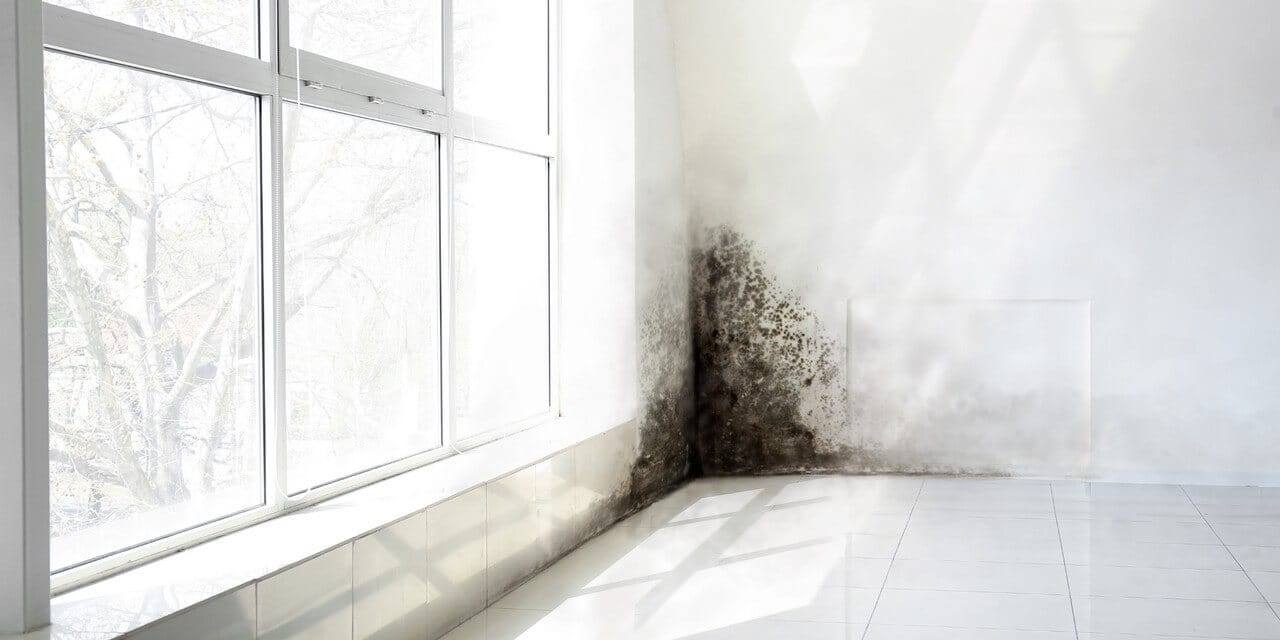 Comment savoir si vous avez de l'humidité dans vos murs ?